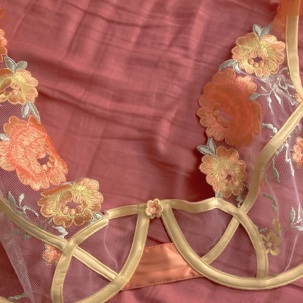 For love and lemons bra
